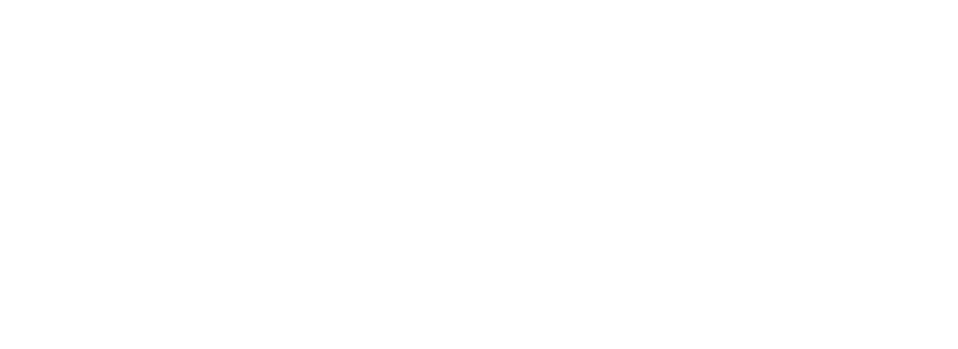 Savage x Fenty