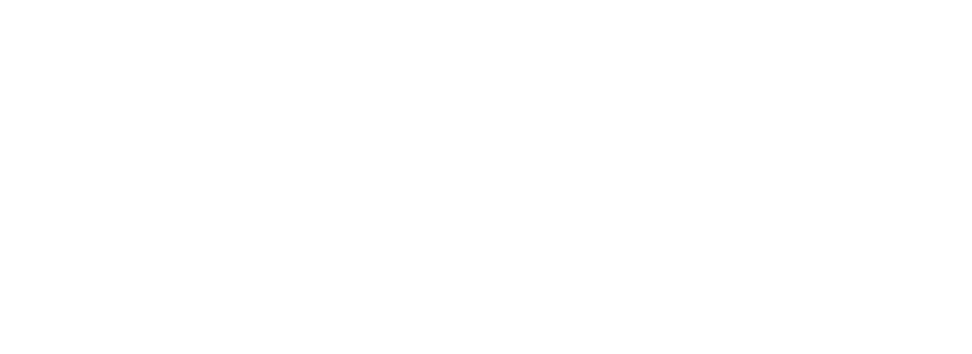 adidaswhite